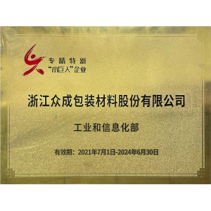 專精特新“小巨人”企業(yè)